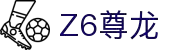 z6尊龙旗舰厅(中国)官方网站